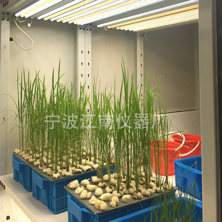 寧波江南儀器廠_人工氣候培養箱,光照培養箱,植物生長培養類箱體