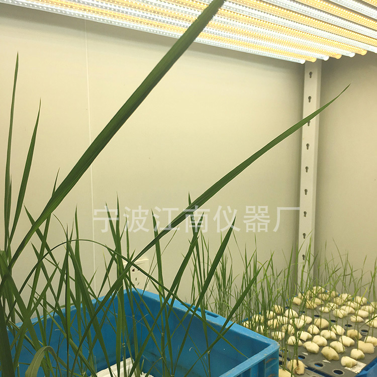 寧波江南儀器廠_人工氣候培養箱,光照培養箱,植物生長培養類箱體