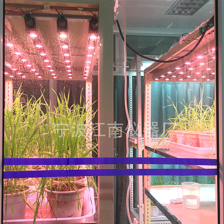 寧波江南儀器廠_人工氣候培養箱,光照培養箱,植物生長培養類箱體