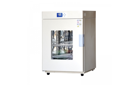 立式電熱恒溫鼓風干燥箱